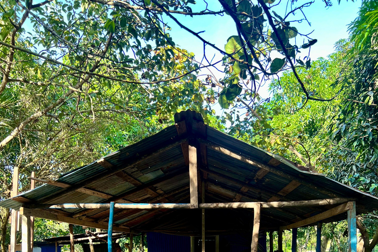 Buggy o zachodzie słońca — cały dzień — mała grupaBuggy o zachodzie słońca – cały dzień – mała grupa