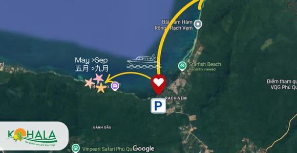 Phu Quoc Night Safari - Starfish - Bee Farm - Sunset Dinner