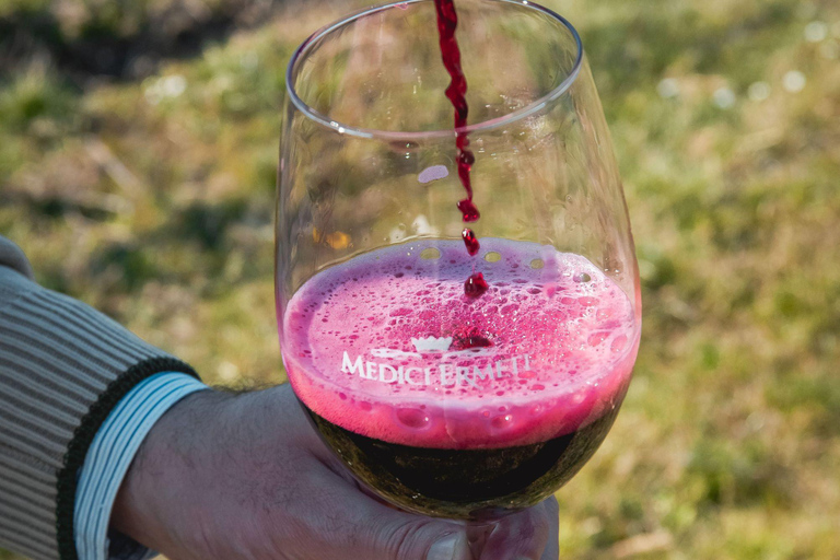 Balsamic Vinegar, Wine Tasting & Tour near Parma & Reggio Balsamic Vinegar & Wine Tasting in Reggio Emilia - Italiano