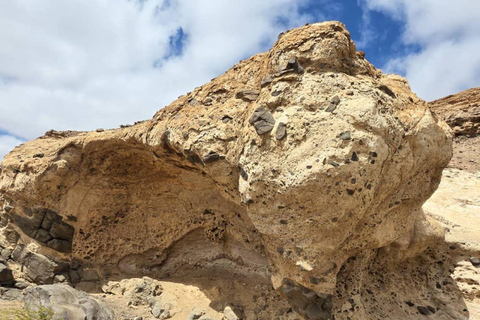 Cape Cross, Seals and River Desert Nature Tour [New Route]