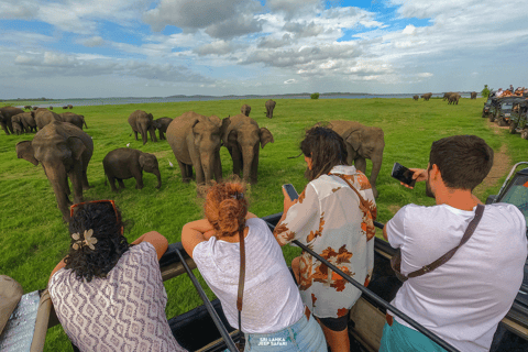 Minneriya: Sunset Elephant Safari Tour and Wildlife Sights