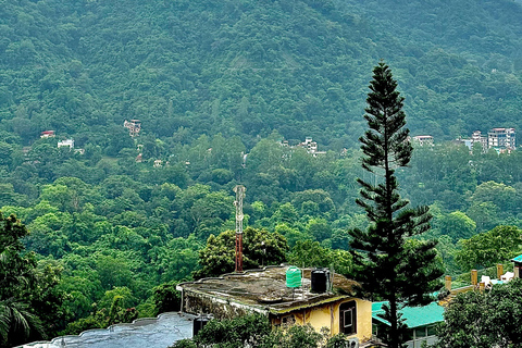 Delhi: tour privado de 4 días por Rishikesh y HaridwarDelhi: tour privado de 4 días a Rishikesh y Haridwar