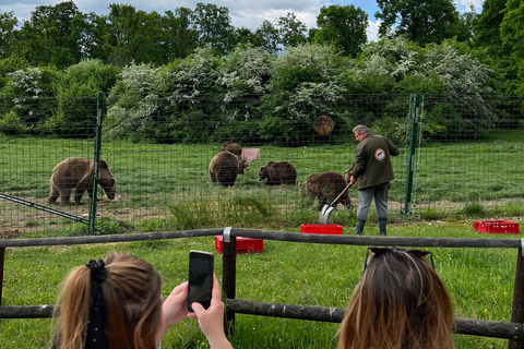 Brasov: Bran Castle, Bear Sanctuary, Rasnov (Peles Optional)