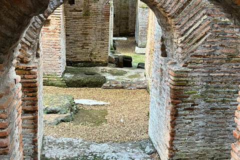 Rome: Colosseum Underground and Arena Floor Guided Tour Colosseum Underground + Arena Floor Tour