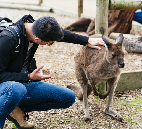 Zoo e acquari