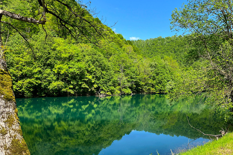 Sarajewo: 1-dniowa wycieczka do Strbacki Buk, Jajce, wycieczka do wodospadów