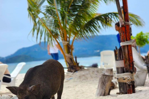 Koh Samui: Privé Longtail Boot naar Varkenseiland met SnorkelKoh Samui: Privé Longtail Tour naar Varkenseiland met Snorkel