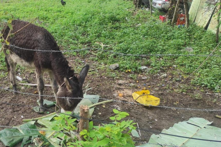Puerto Plata City Tour: Historic Center & Countryside Ride