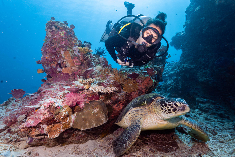 Manta Dive Gili Trawangan : Cours d&#039;eau libre