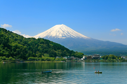 Tokio: Jednodniowa wycieczka do parku Fuji Oishi i gorących źródeł Yamanaka8:00 Spotkajmy się na stacji Tokio