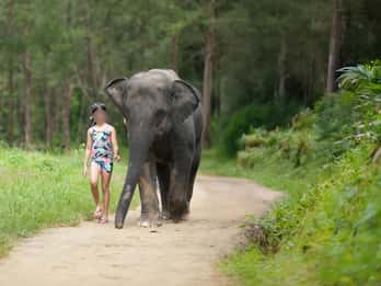 Khao Lak: Elefantenbaden und Besuch des Schildkrötenzentrums