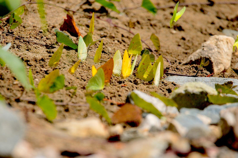 Z Huatulco: Egzotyczny ogród w ekoturystycznym ranczu i wizyta w punkcie widokowym.Z Huatulco: Egzotyczny ogród w ekoturystycznym ranczu i wizyta w punkcie widokowym