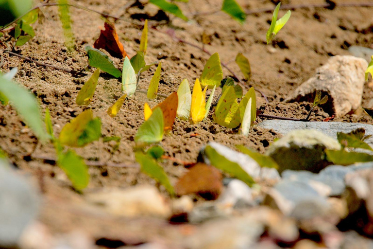 Z Huatulco: Egzotyczny ogród w ekoturystycznym ranczu i wizyta w punkcie widokowym.Z Huatulco: Egzotyczny ogród w ekoturystycznym ranczu i wizyta w punkcie widokowym