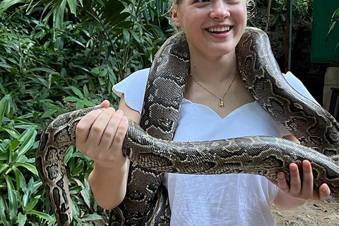 Mombasa: Excursión para alimentar cocodrilos en Mamba Village.