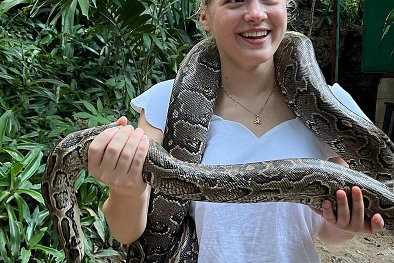 Mombasa: Visita a Mamba Village Crocodiles Feeding Experience.