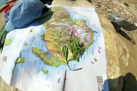 Skiathos: Tour guidato in kayak di mare con sosta per nuotare