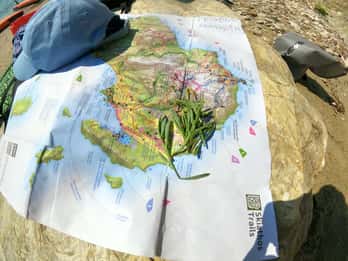 Skiathos: Guided Sea Kayaking Tour with Swim Stop
