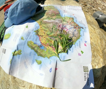 Skiathos: Guided Sea Kayaking Tour with Swim Stop