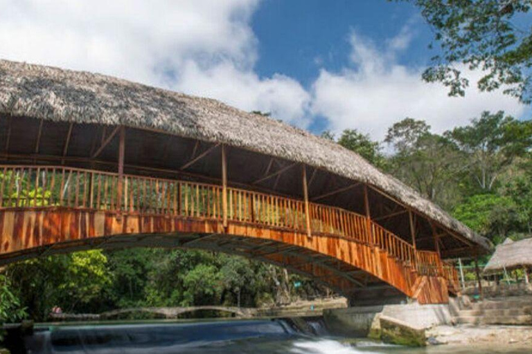 Iquitos: 2-Day Amazon Jungle Adventure with Lodge Stay