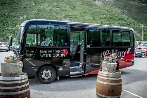 CRUISE SHIP DAYS - HOP ON HOP OFF - Wine, Beer, Food Tour
