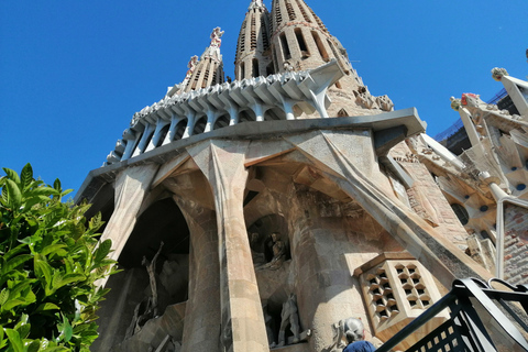 Barcelona: Visita a la Sagrada Familia con acceso opcional a la TorreVisita en grupo