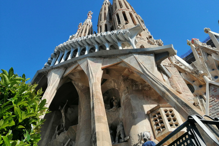 Barcelona: Sagrada Familia Tour met optionele toegang tot de torenGroepsreis