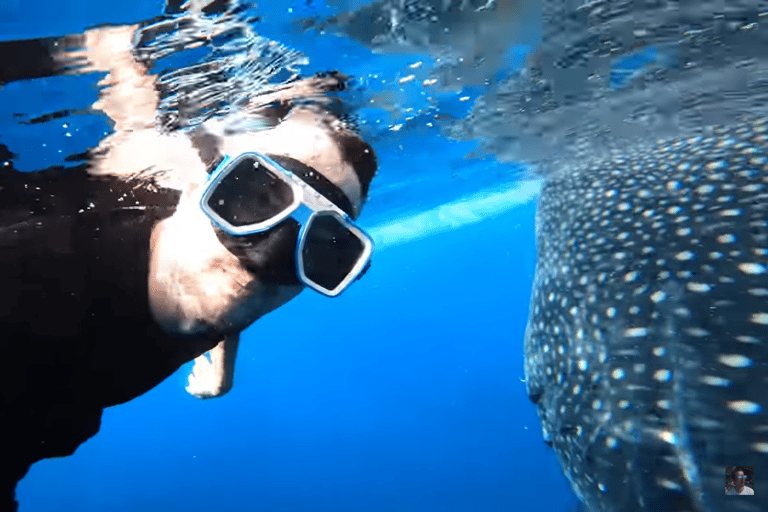 Oslob: Whale Sharks, Tumalog Falls & Sumilon Trio Adventure