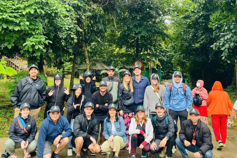 Phong Nha National Park: Paradise Cave Half-Day Tour Pickup in Hue and drop-off in Phong Nha