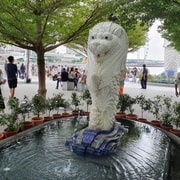 Singapore: Walking City Tour with Local Tourist Guide