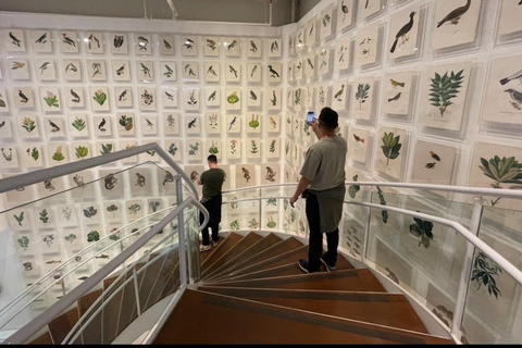 São Paulo: Underground Culture and Arts TourSão Paulo: tour door de undergroundcultuur en -kunst