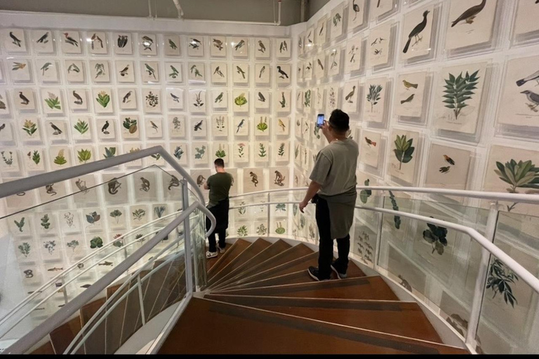 São Paulo: Underground Culture and Arts TourSão Paulo: tour door de undergroundcultuur en -kunst