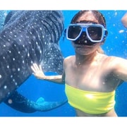 Cebu: Whale Shark Swim and Kawasan Canyoneering Group Tour Cebu: Whale Shark Swim and Kawasan Canyoneering Group Tour