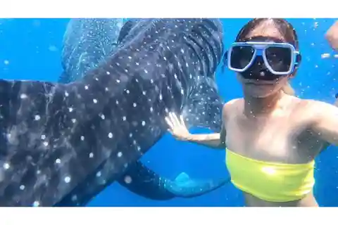 Cebu: Whale Shark Swim and Kawasan Canyoneering Group Tour