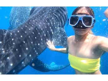 Cebu: Whale Shark Swim and Kawasan Canyoneering Group Tour