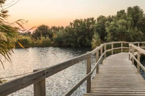 History & Nature: Azraq Wetland Reserve and Desert Castles