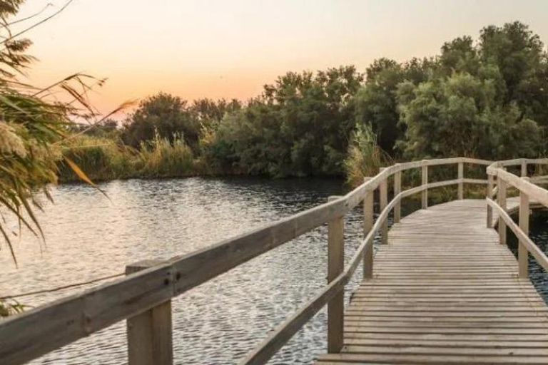 History & Nature: Azraq Wetland Reserve and Desert Castles