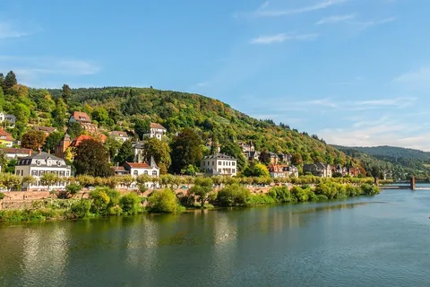 Heidelberg: Visita guiada de la ciudad y el castillo