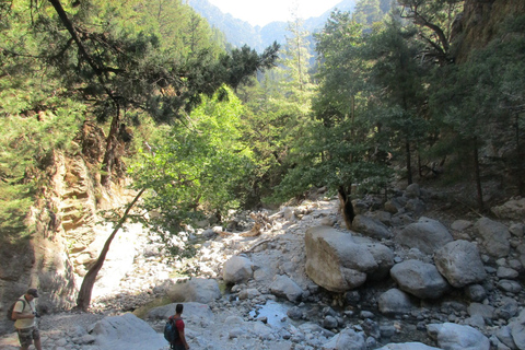 From Rethymno: Samaria Gorge Full-Day Trek with Pickup From Panormo, Lavris, Scaleta, Sfakaki, Stavromenos