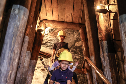 Hall in Tirol: Guided Tour of the Mining Museum Hall in Tyrol: Guided Tour of the Mining Museum