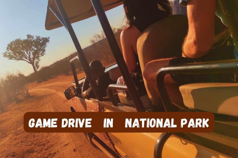 Victoria Watervallen: Game drive in het Zambezi National ParkTour in kleine groep