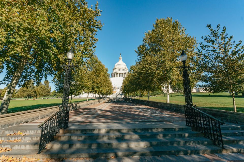 City　Highlights　Washington　GetYourGuide　New　City:　York　Full-Day　DC　Tour