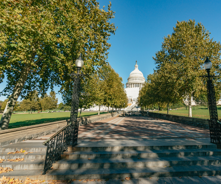 New York City: Full-Day Washington DC City Highlights Tour
