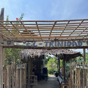 El Nido, Sibaltan: Local Organic Farm Tour & Product Tasting