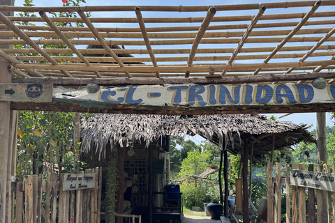 El Nido, Sibaltan: Local Organic Farm Tour & Product Tasting Farm Tour: 2 to 5