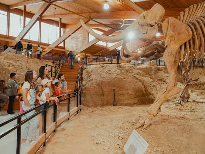 The Mammoth Site of Hot Springs, SD