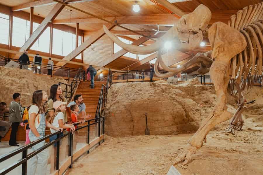 Die Mammut-Stätte von Hot Springs, SD. Foto: GetYourGuide Die Mammut-Stätte von Hot Springs, SD. Foto: GetYourGuide