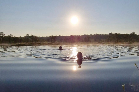 From Tallinn: Wild Swimming Trip with 4 Natural Waters