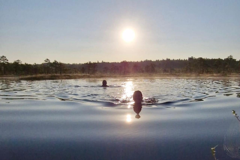 From Tallinn: Wild Swimming Trip with 4 Natural Waters