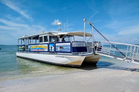Tarpon Springs: Evening Dolphin Cruise Tarpon Springs: Sunset Dolphin Cruise with Refreshments