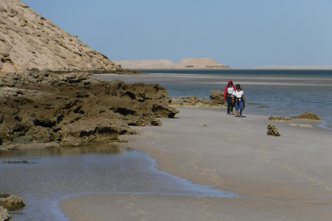 Dakhla: Catamaran Sailing Adventure with Island Visit